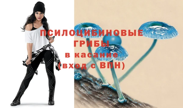 apvp Белокуриха