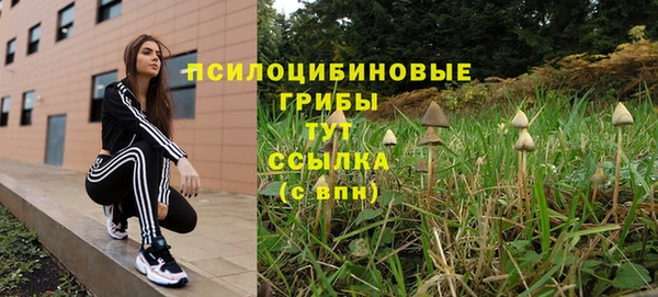 apvp Белокуриха