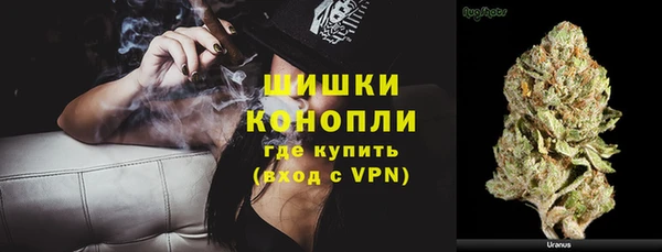 apvp Белокуриха