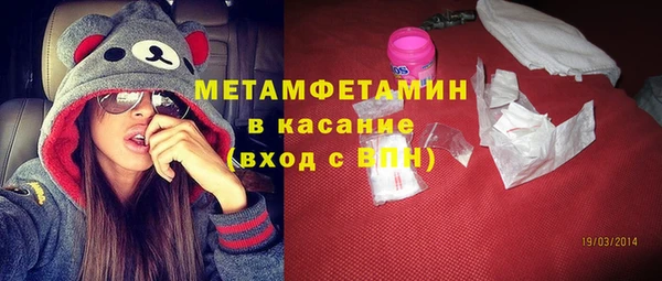 индика Дмитров